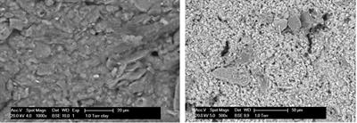 Applying a logistic growth equation to model flocculation of sediment in the presence of living and dead organic matter